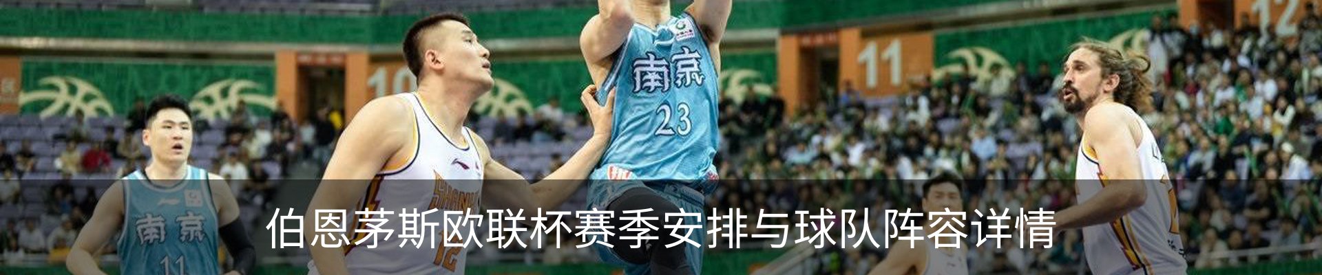 最新动态